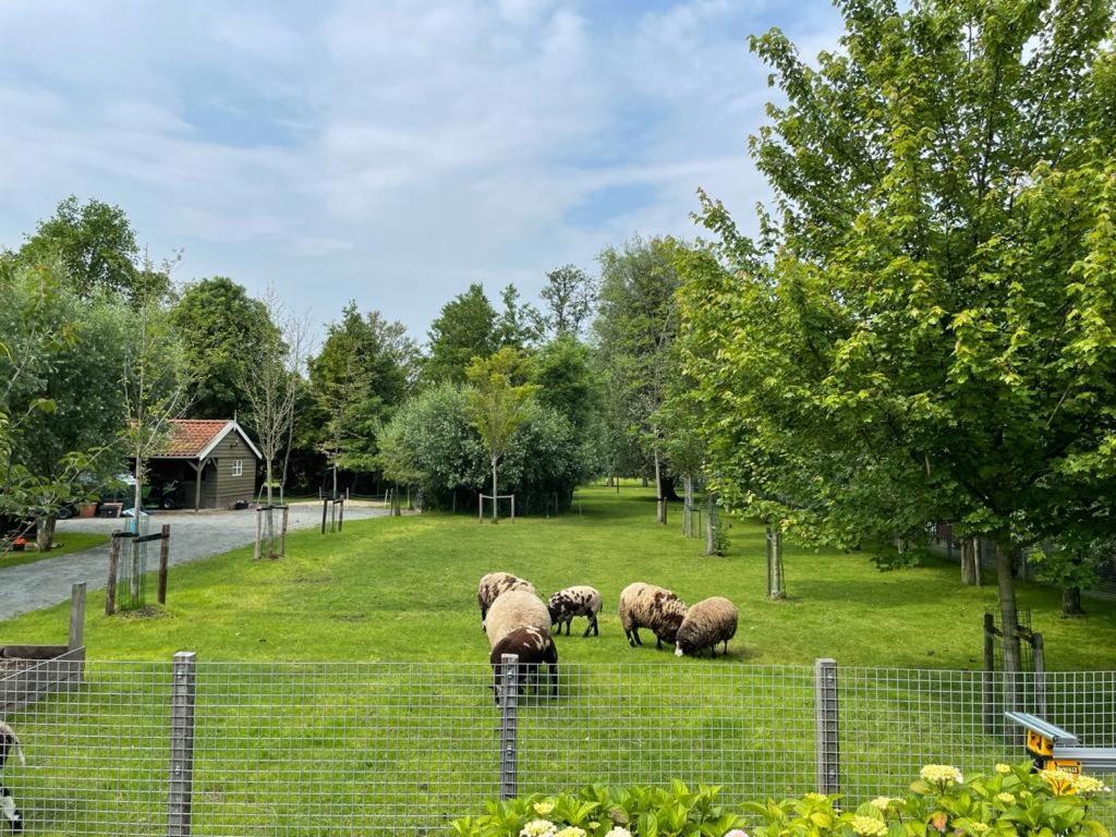 Flora'S B&B Landsmeer Luaran gambar