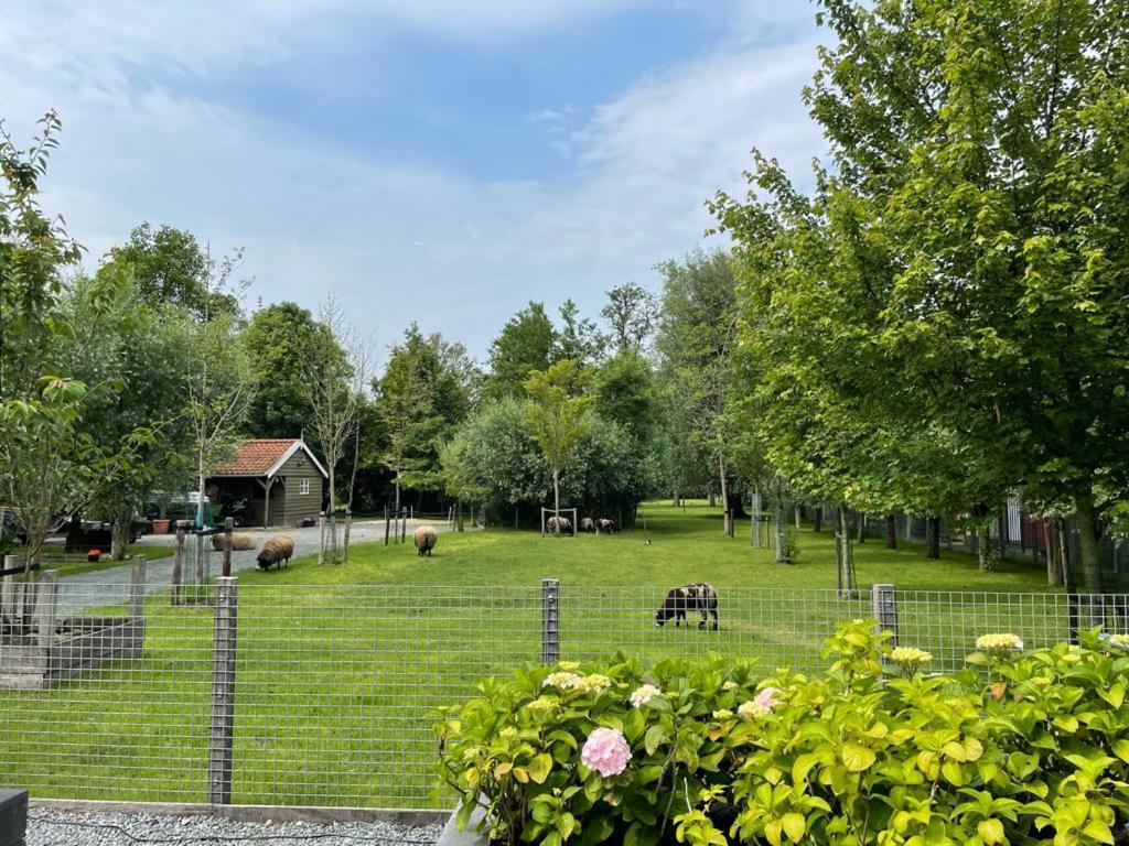 Flora'S B&B Landsmeer Luaran gambar